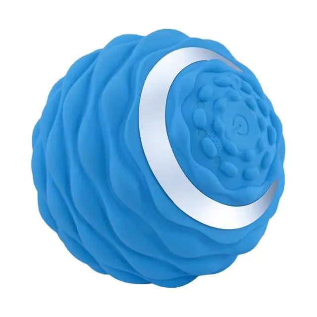 Electric Vibrating Massage Fitness Ball - Fit Fusion Flex